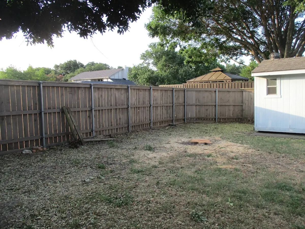 Cleared yard after professional tree removal in Capay